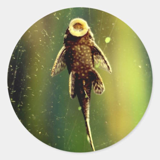 Zoogvissticker Ronde Sticker (Voorkant)