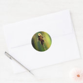 Zoogvissticker Ronde Sticker (Envelop)