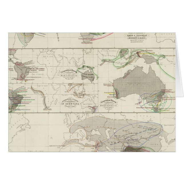 Zoologische geografie (Voorkant Horizontaal)