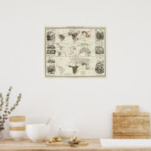 Zoologische geografie poster (Keuken)