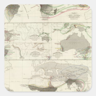 Zoologische geografie vierkante sticker