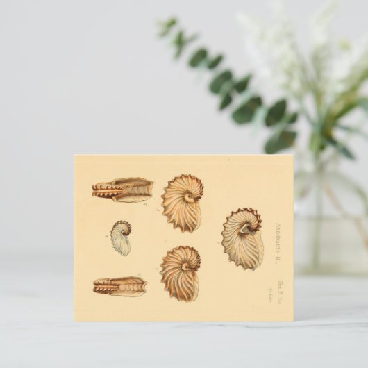 Zoologische ketting Briefkaart (Staand voorkant)