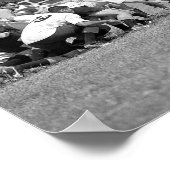 Zoomie Rugby Scrum Poster (Hoek)