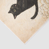 Zoomies Kitty Tissuepapier (Detail)