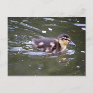 Zooming Briefkaart