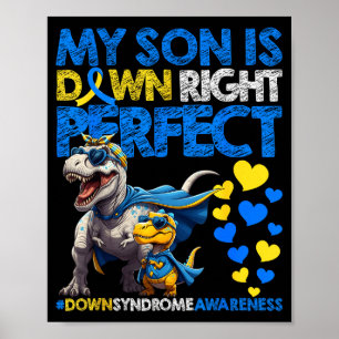 Zoon is helemaal perfect downsyndroom bewustzijn poster