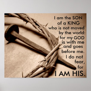 Zoon van een koning poster