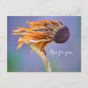 Zorg Zorg Gevoel Hier Voor Jou Briefkaart