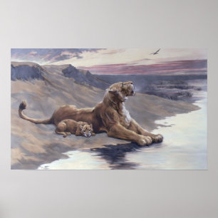 Zorgverlening tijdens het moederschap poster