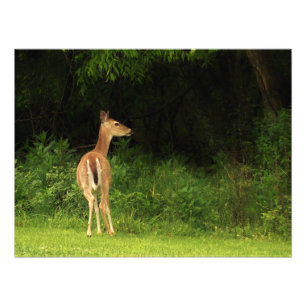 zorgvuldige overweging foto afdruk