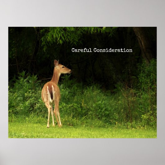 Zorgvuldige overweging - poster (Voorkant)