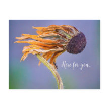 Zorgzaam Gevoel Hier Voor Jou