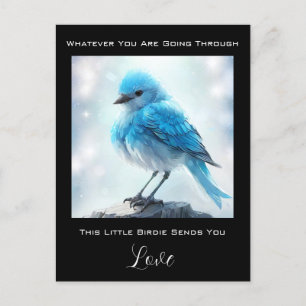 *~* Zorgzorg Gedetailleerde Blauwe Vogel AP54 Briefkaart