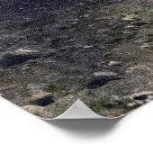 Zorn - Lucky met de Dames Poster (Hoek)