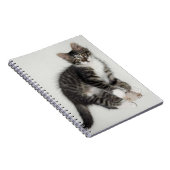 Zorro et son Carnet de souris (Côté Droit)