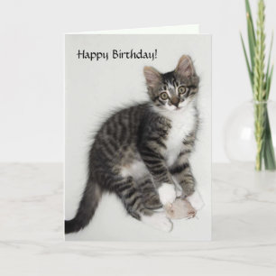 Zorro Happy Birthday Kaart