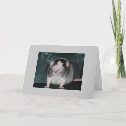 Zorro Kaart (Voorkant)