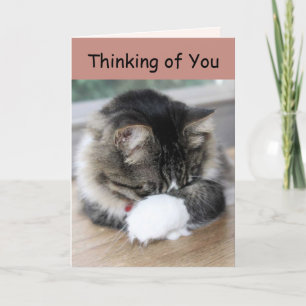 Zorro Kat Denking of You Card Kaart