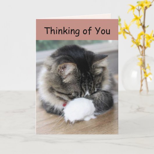 Zorro Kat denkt aan je Kaart (Gele Bloem)