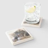 Zorro Kitten door het Onderzetter van de Steen van (Zijkant)