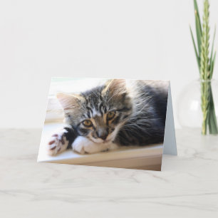 Zorro op de Windows Jubileum-kaart Kaart