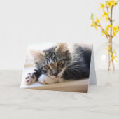 Zorro par la carte de voeux de blanc de fenêtre (Fleur jaune)