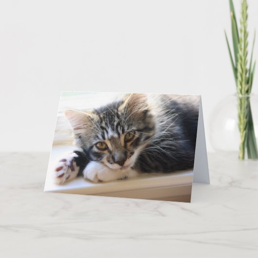 Zorro par la carte de voeux de blanc de fenêtre (Devant)