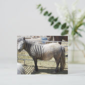 Zorse Briefkaart (Staand voorkant)