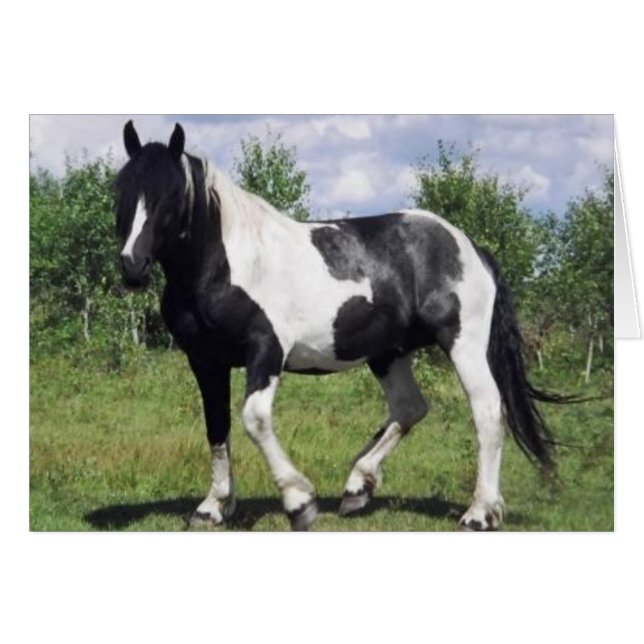 Zout (Voorkant Horizontaal)