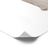 Zout en Pepper Shakers Dogs Poster (Hoek)