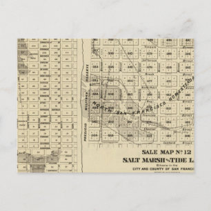 Zout Moeras 2 van de Baai van San Francisco Briefkaart