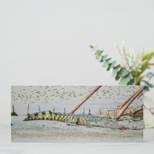 zoutwaterkrokodil feestdagenkaart (Staand voorkant)