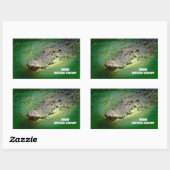 Zoutwaterkrokodil uit Darwin Rechthoekige Sticker (Vel)