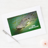 Zoutwaterkrokodil uit Darwin Rechthoekige Sticker (Envelop)