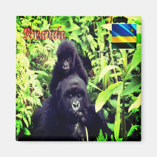 zRW003 RWANDA, Gorilla in National Park, Fridge Magneet