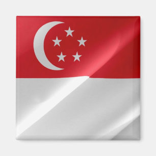 zSG002 zwaait Singapore, Fridge Magneet