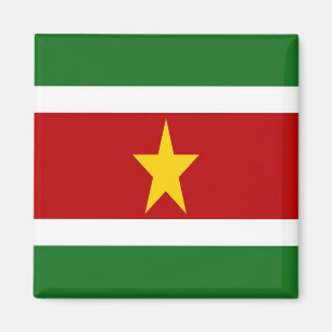 zSR001 SURINAME, Vlag, Amerika, Fridge Magneet