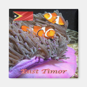 ZTL009 ANEMONEFISH van Oost-Timor, Azië, Fridge Magneet