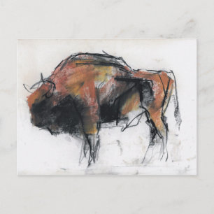 Zubre Bialowieza Briefkaart