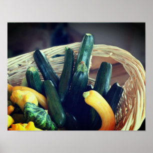 Zucchini Summer Squash Gourds Vegetables Poster