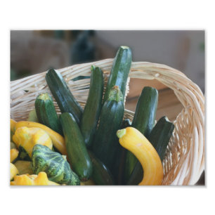 Zucchini Summer Squash kalebassen groenten 8x10 Foto Afdruk