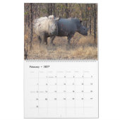 Zuid-Afrika 2009 Kalender (Feb 2027)