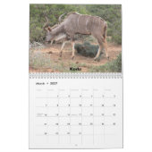 Zuid-Afrika 2011 Kalender (Mar 2027)