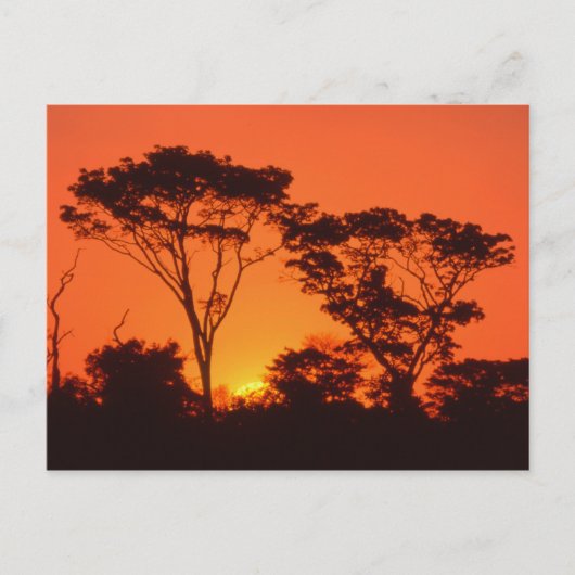 Zuid-Afrika. Afrikaanse zonsondergang. Briefkaart (Voorkant)