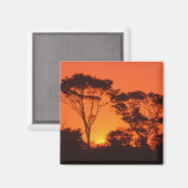 Zuid-Afrika. Afrikaanse zonsondergang. Magneet (Voorkant / Achterkant)