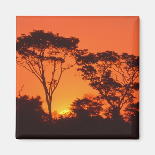 Zuid-Afrika. Afrikaanse zonsondergang. Magneet (Voorkant)
