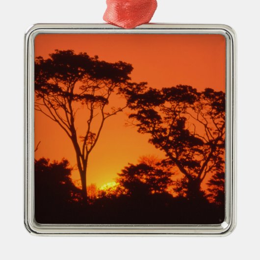 Zuid-Afrika.  Afrikaanse zonsondergang. Metalen Ornament (Voorkant)