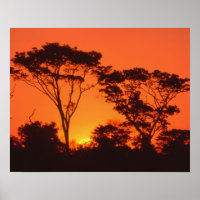 Zuid-Afrika. Afrikaanse zonsondergang.