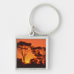 Zuid-Afrika. Afrikaanse zonsondergang. Sleutelhanger