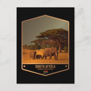 Zuid-Afrika Briefkaart